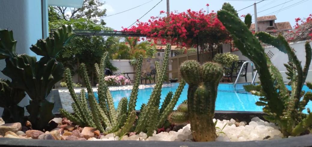 Suriya Arana Bed & Breakfast Negombo Dış mekan fotoğraf